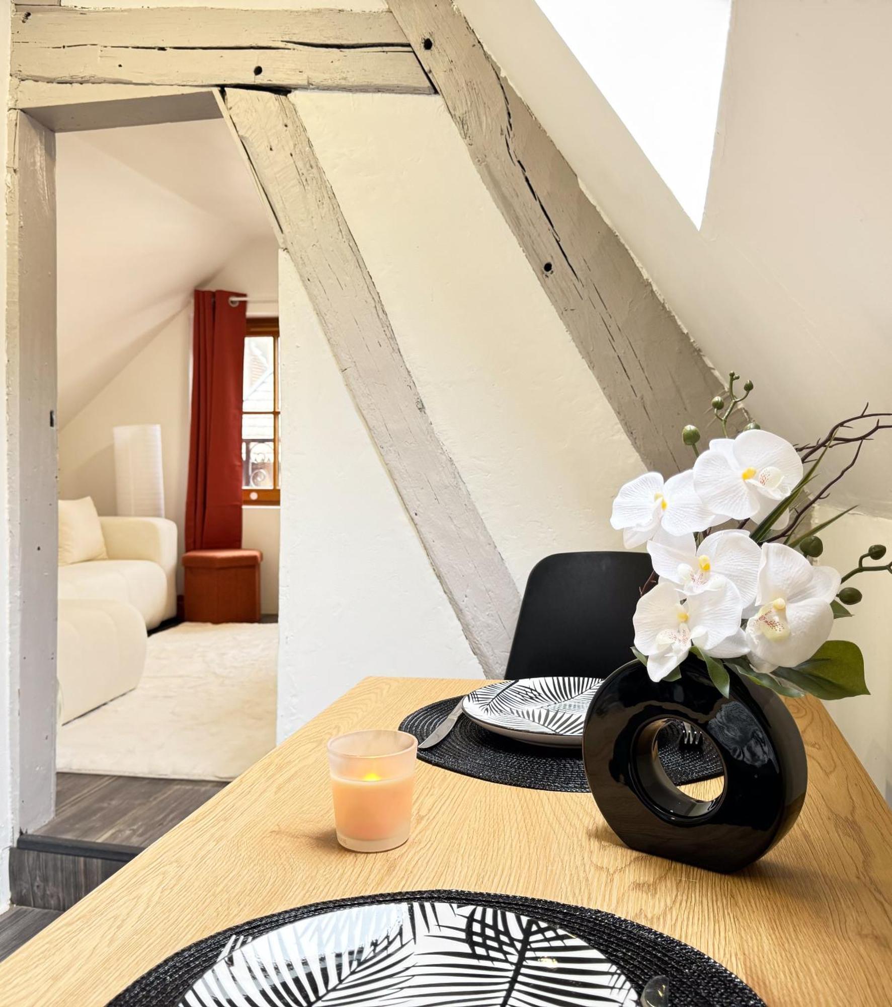 Апартаменты La Douceur - Hypercentre Pieton De Troyes - Cozy Экстерьер фото